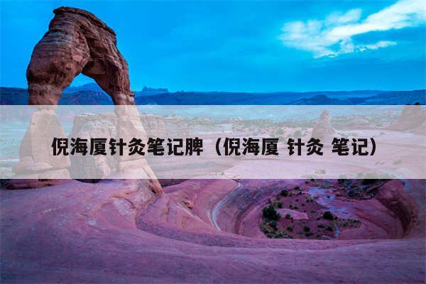 倪海厦针灸笔记脾（倪海厦 针灸 笔记）
