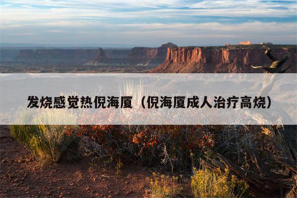 发烧感觉热倪海厦（倪海厦成人治疗高烧）
