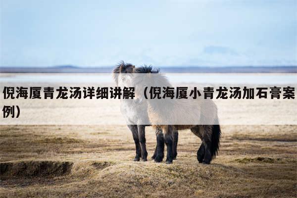 倪海厦青龙汤详细讲解（倪海厦小青龙汤加石膏案例）