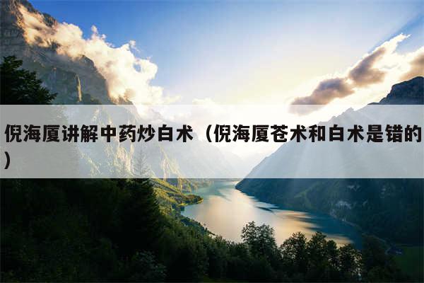倪海厦讲解中药炒白术（倪海厦苍术和白术是错的）