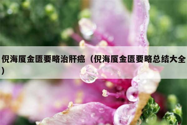 倪海厦金匮要略治肝癌（倪海厦金匮要略总结大全）
