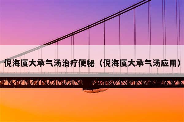 倪海厦大承气汤治疗便秘（倪海厦大承气汤应用）