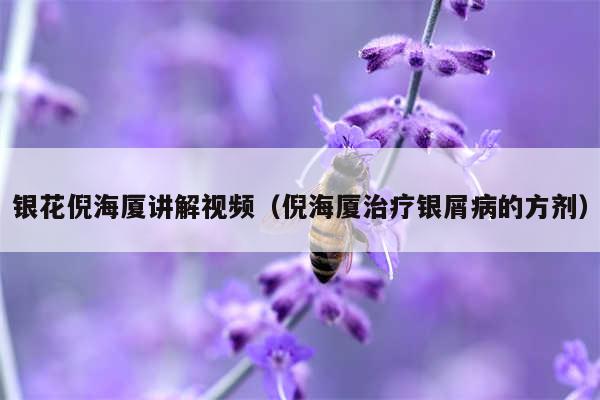 银花倪海厦讲解视频（倪海厦治疗银屑病的方剂）