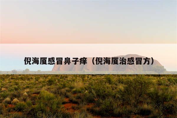 倪海厦感冒鼻子痒（倪海厦治感冒方）