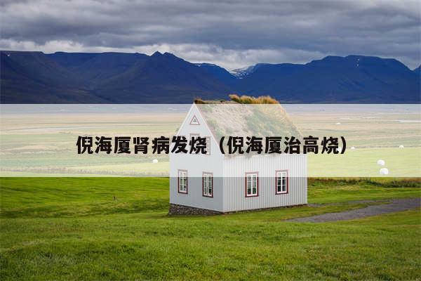 倪海厦肾病发烧（倪海厦治高烧）