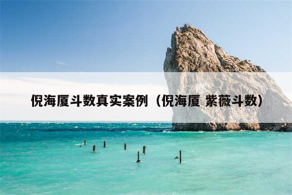 倪海厦斗数真实案例（倪海厦 紫薇斗数）