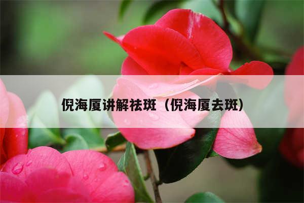 倪海厦讲解祛斑（倪海厦去斑）