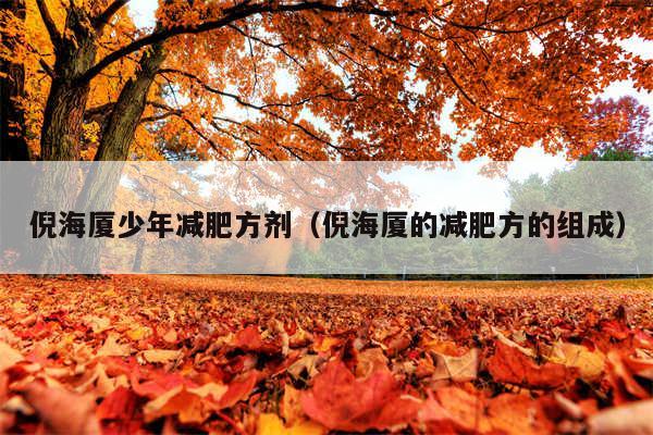 倪海厦少年减肥方剂（倪海厦的减肥方的组成）