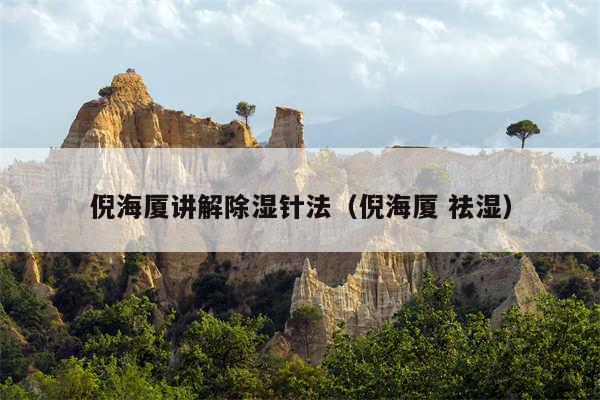 倪海厦讲解除湿针法（倪海厦 祛湿）