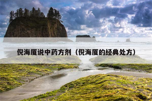倪海厦说中药方剂（倪海厦的经典处方）