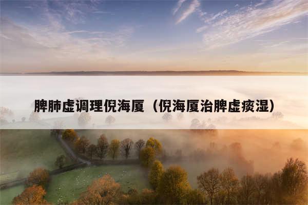 脾肺虚调理倪海厦（倪海厦治脾虚痰湿）