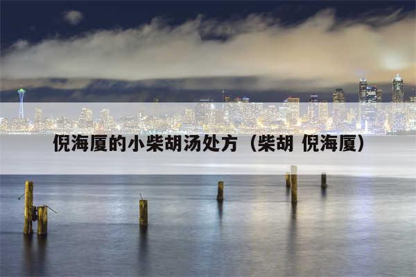 倪海厦的小柴胡汤处方（柴胡 倪海厦）