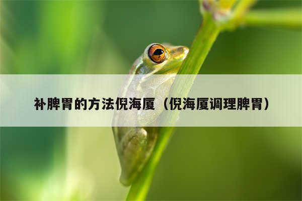 补脾胃的方法倪海厦（倪海厦调理脾胃）