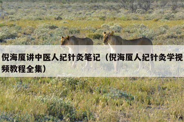 倪海厦讲中医人纪针灸笔记（倪海厦人纪针灸学视频教程全集）