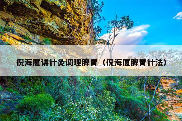 倪海厦讲针灸调理脾胃（倪海厦脾胃针法）