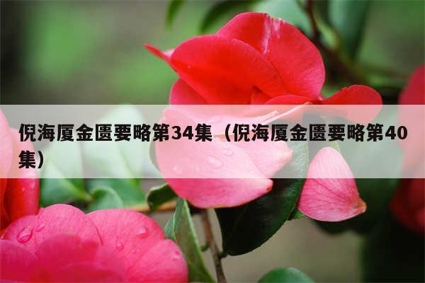 倪海厦金匮要略第34集（倪海厦金匮要略第40集）