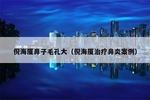 倪海厦鼻子毛孔大（倪海厦治疗鼻炎案例）