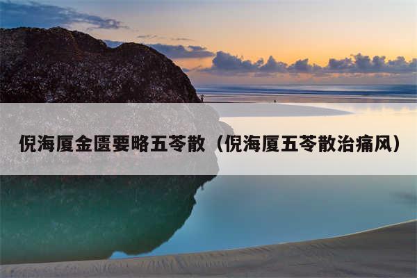 倪海厦金匮要略五苓散（倪海厦五苓散治痛风）