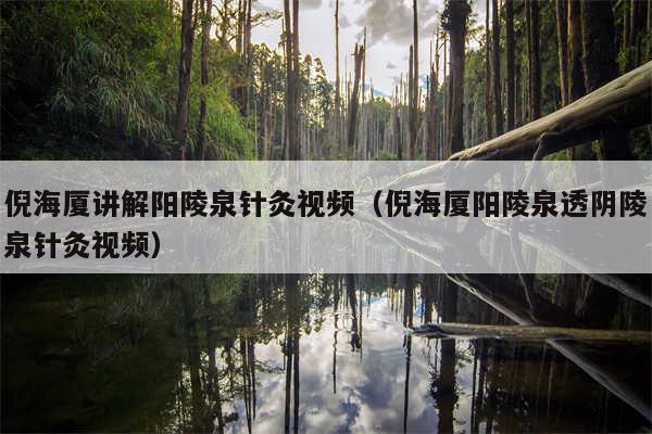 倪海厦讲解阳陵泉针灸视频（倪海厦阳陵泉透阴陵泉针灸视频）
