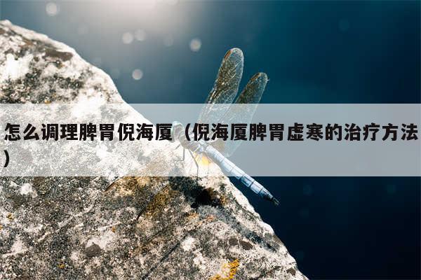 怎么调理脾胃倪海厦（倪海厦脾胃虚寒的治疗方法）