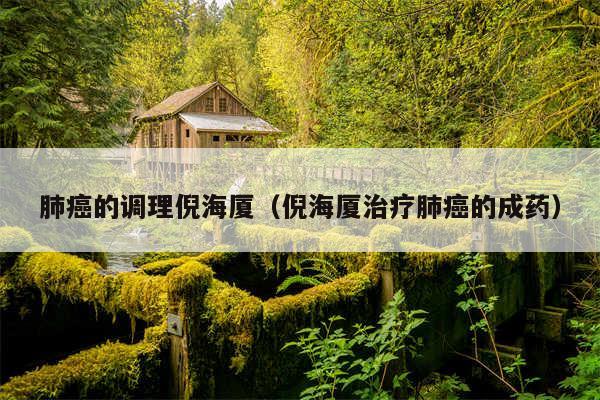 肺癌的调理倪海厦（倪海厦治疗肺癌的成药）