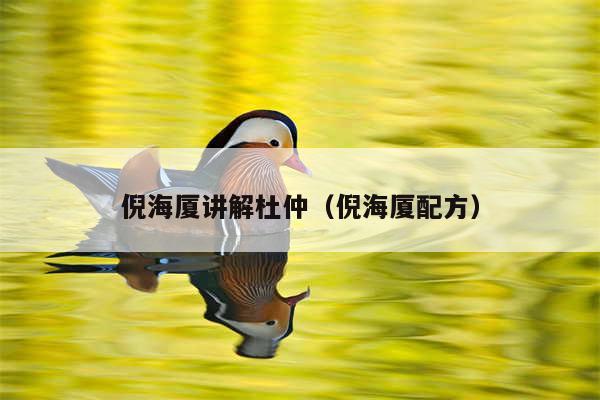 倪海厦讲解杜仲（倪海厦配方）