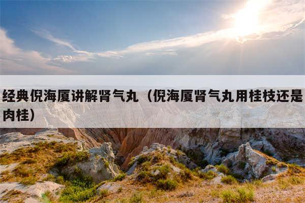 经典倪海厦讲解肾气丸（倪海厦肾气丸用桂枝还是肉桂）