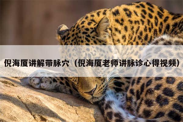 倪海厦讲解带脉穴（倪海厦老师讲脉诊心得视频）