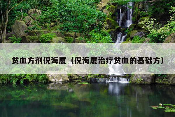 贫血方剂倪海厦（倪海厦治疗贫血的基础方）