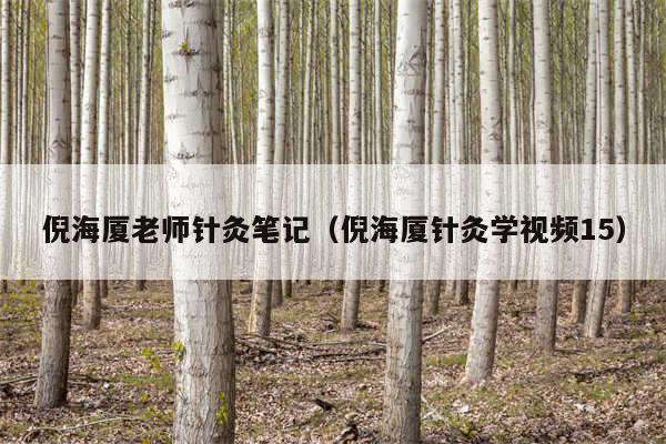 倪海厦老师针灸笔记（倪海厦针灸学视频15）