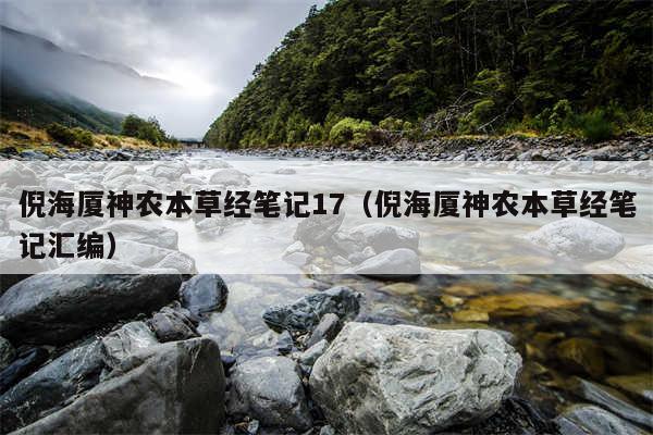倪海厦神农本草经笔记17（倪海厦神农本草经笔记汇编）
