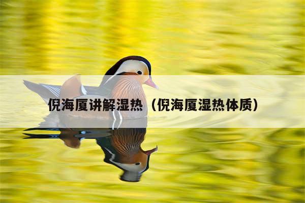倪海厦讲解湿热（倪海厦湿热体质）
