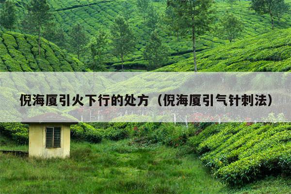 倪海厦引火下行的处方（倪海厦引气针刺法）