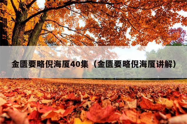 金匮要略倪海厦40集（金匮要略倪海厦讲解）