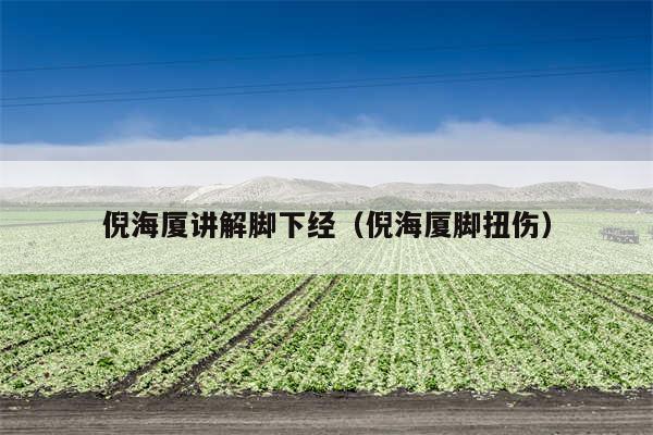 倪海厦讲解脚下经（倪海厦脚扭伤）