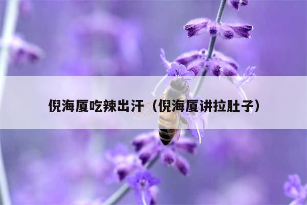 倪海厦吃辣出汗（倪海厦讲拉肚子）