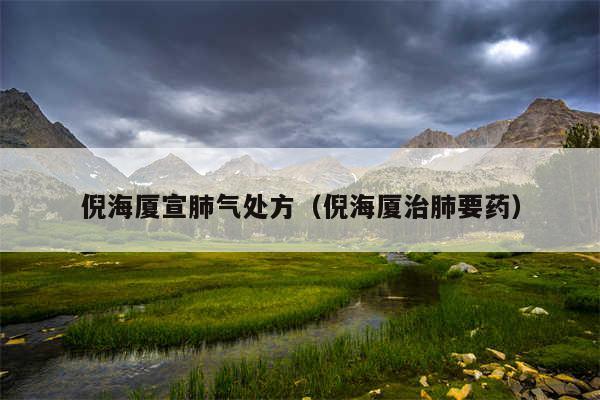 倪海厦宣肺气处方（倪海厦治肺要药）