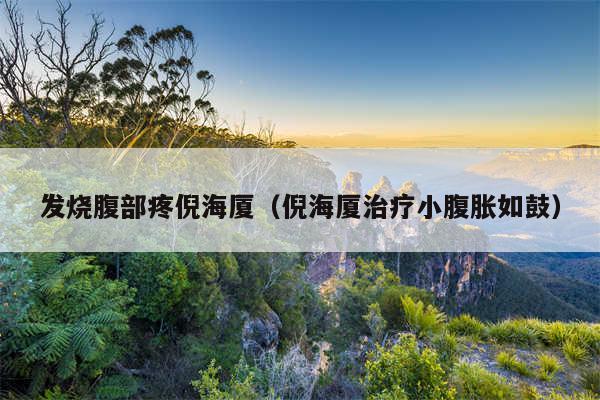 发烧腹部疼倪海厦（倪海厦治疗小腹胀如鼓）