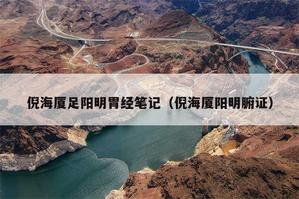 倪海厦足阳明胃经笔记（倪海厦阳明腑证）