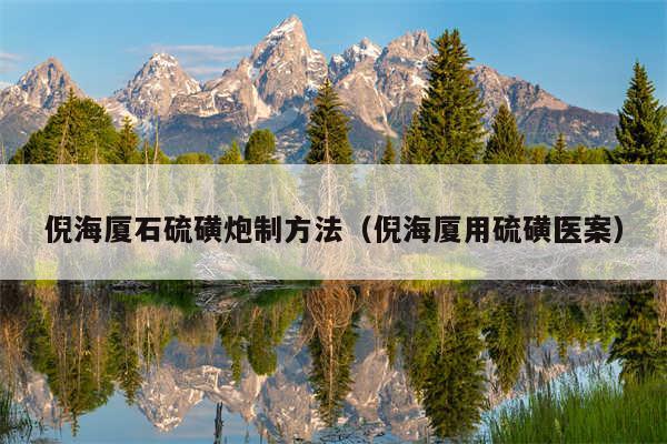 倪海厦石硫磺炮制方法（倪海厦用硫磺医案）
