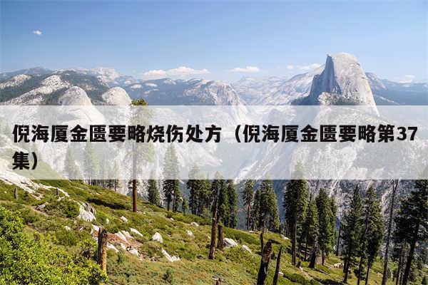 倪海厦金匮要略烧伤处方（倪海厦金匮要略第37集）
