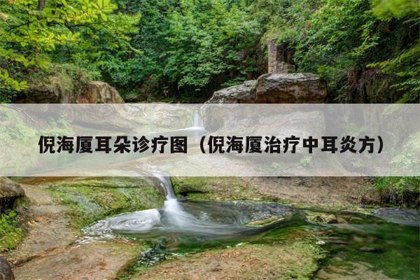倪海厦耳朵诊疗图（倪海厦治疗中耳炎方）