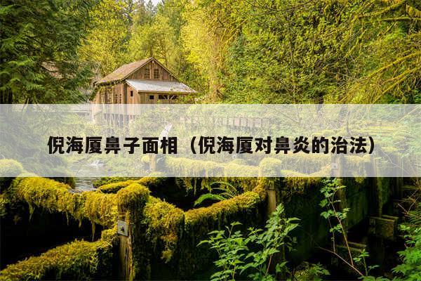 倪海厦鼻子面相（倪海厦对鼻炎的治法）