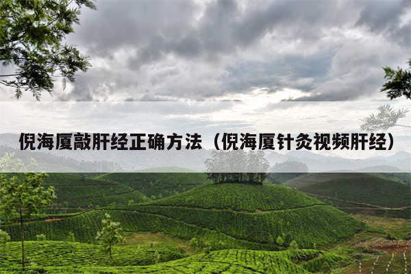倪海厦敲肝经正确方法（倪海厦针灸视频肝经）
