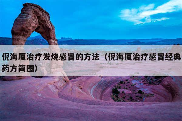 倪海厦治疗发烧感冒的方法（倪海厦治疗感冒经典药方简图）
