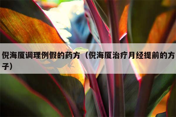 倪海厦调理例假的药方（倪海厦治疗月经提前的方子）