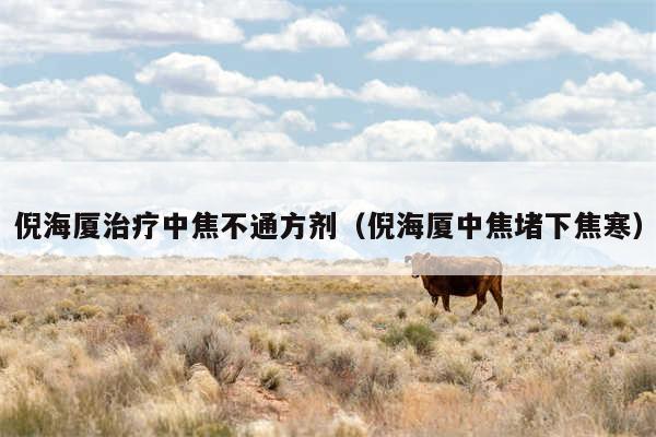 倪海厦治疗中焦不通方剂（倪海厦中焦堵下焦寒）