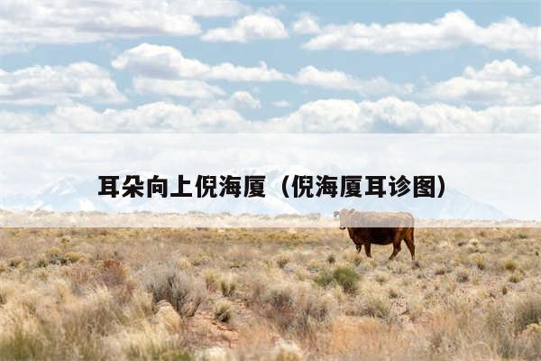 耳朵向上倪海厦（倪海厦耳诊图）