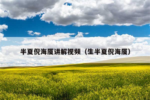 半夏倪海厦讲解视频（生半夏倪海厦）