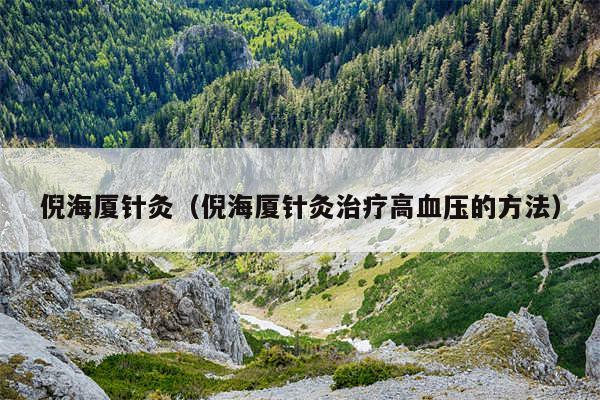 倪海厦针灸（倪海厦针灸治疗高血压的方法）